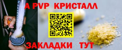 прущие грибы Можга