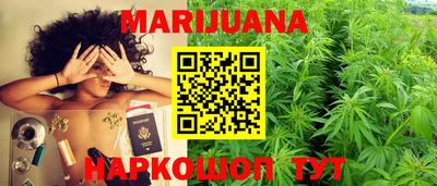 прущие грибы Можга