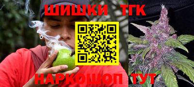 прущие грибы Можга