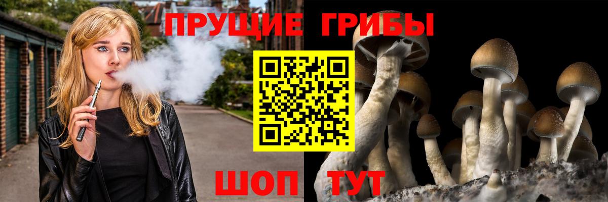 Псилоцибиновые грибы Magic Shrooms Элиста